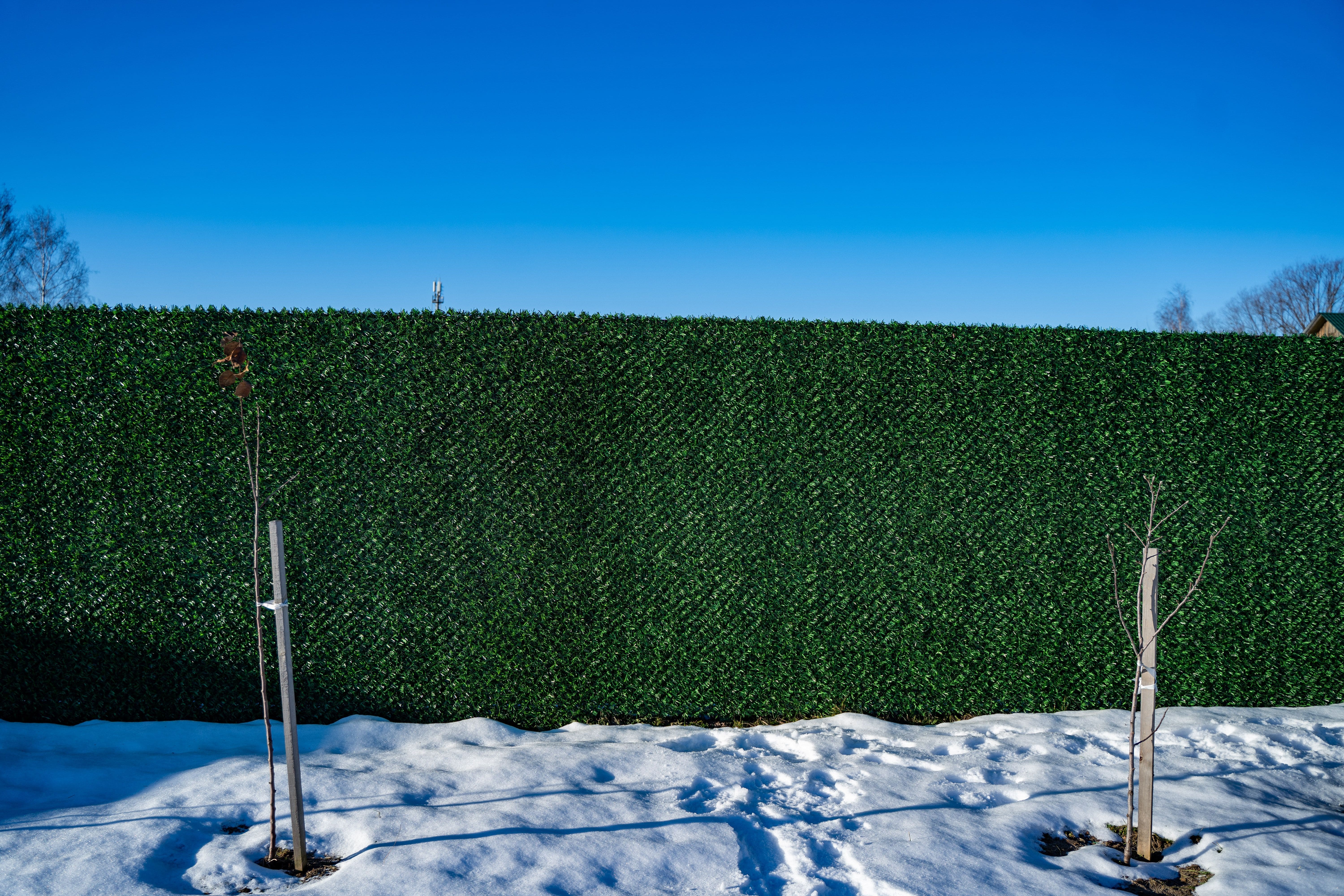 Вечнозеленый забор Grass Fence рулон 2м фото 8 в Томске