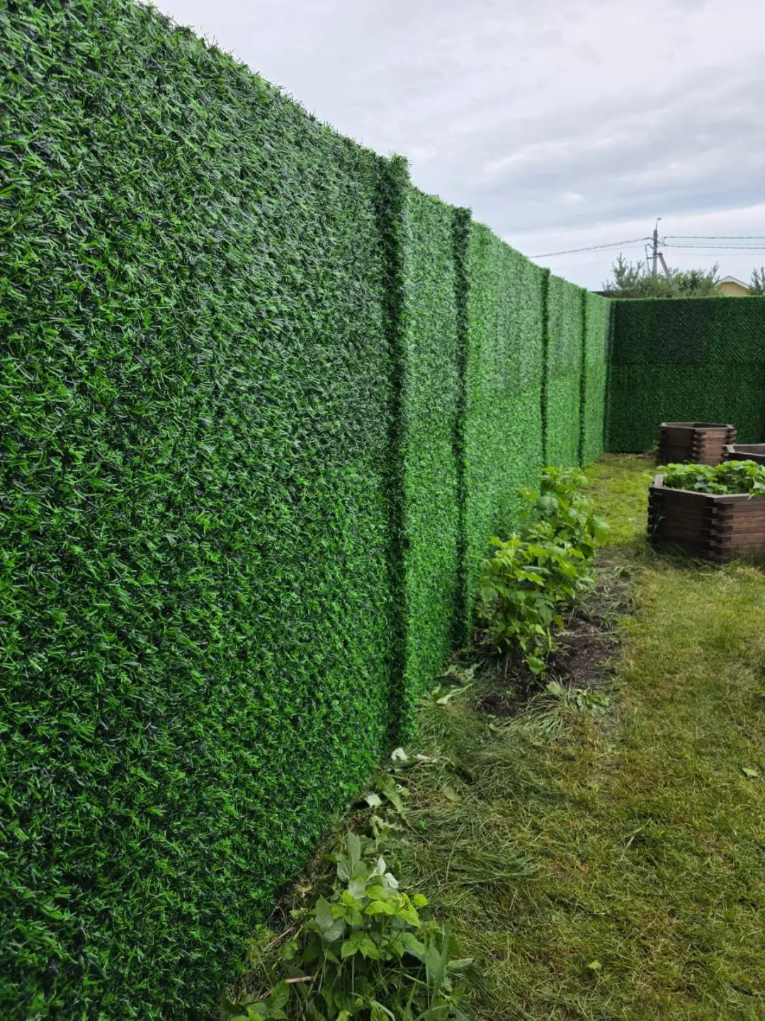 Вечнозеленый забор Grass Fence 37м фото 1 в Томске